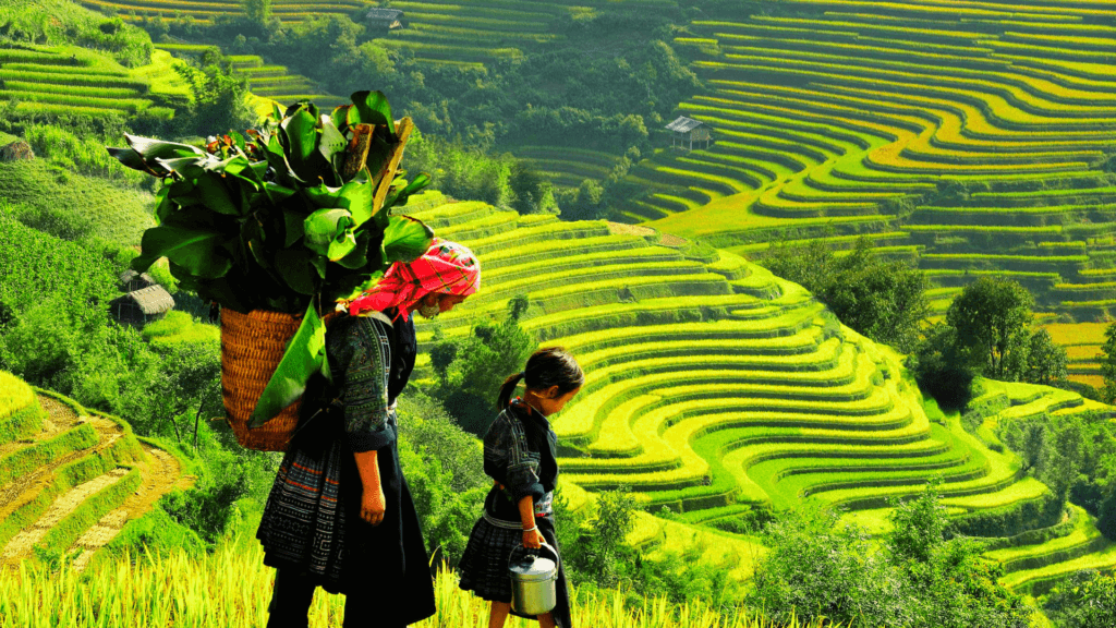 go hiking with ruong bac thang Mu Cang Chai Vietnam