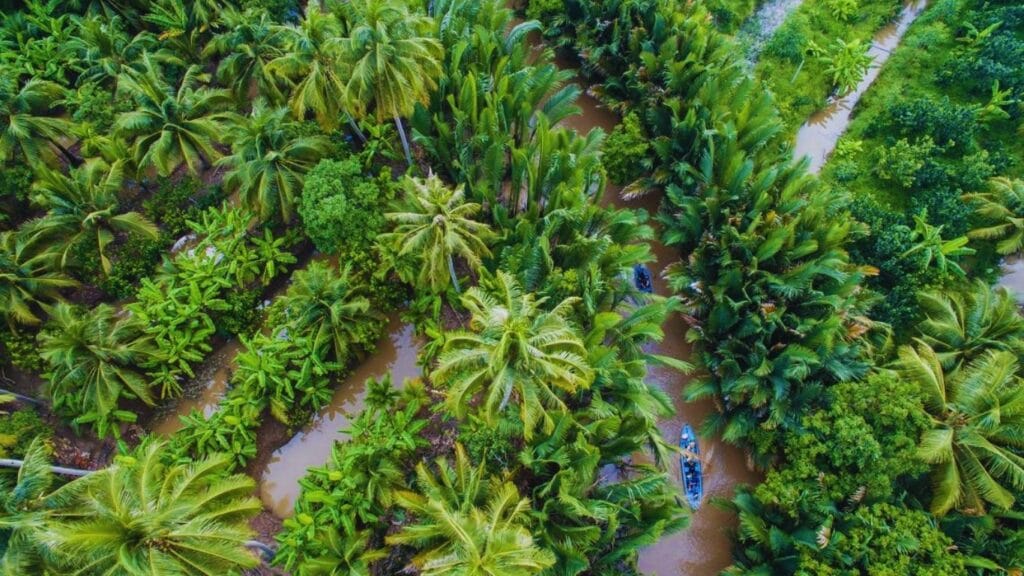 Mekong Delta Travel Guide 2026: Floating Markets, River Life & Local Culture 🇻🇳 5 Ben Tre is famous for coconut plantations and peaceful canals.