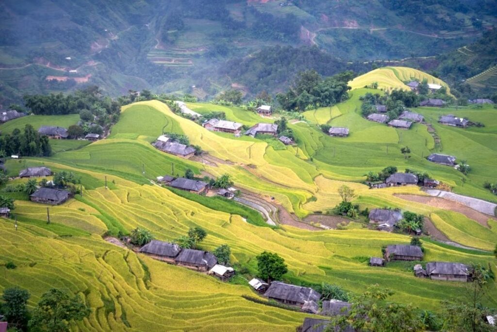 Homestay overlooking rice terraces near Ta Van Sapa