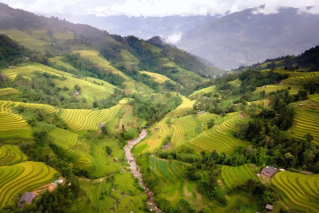 Muong Hoa Valley rice terraces near Sapa