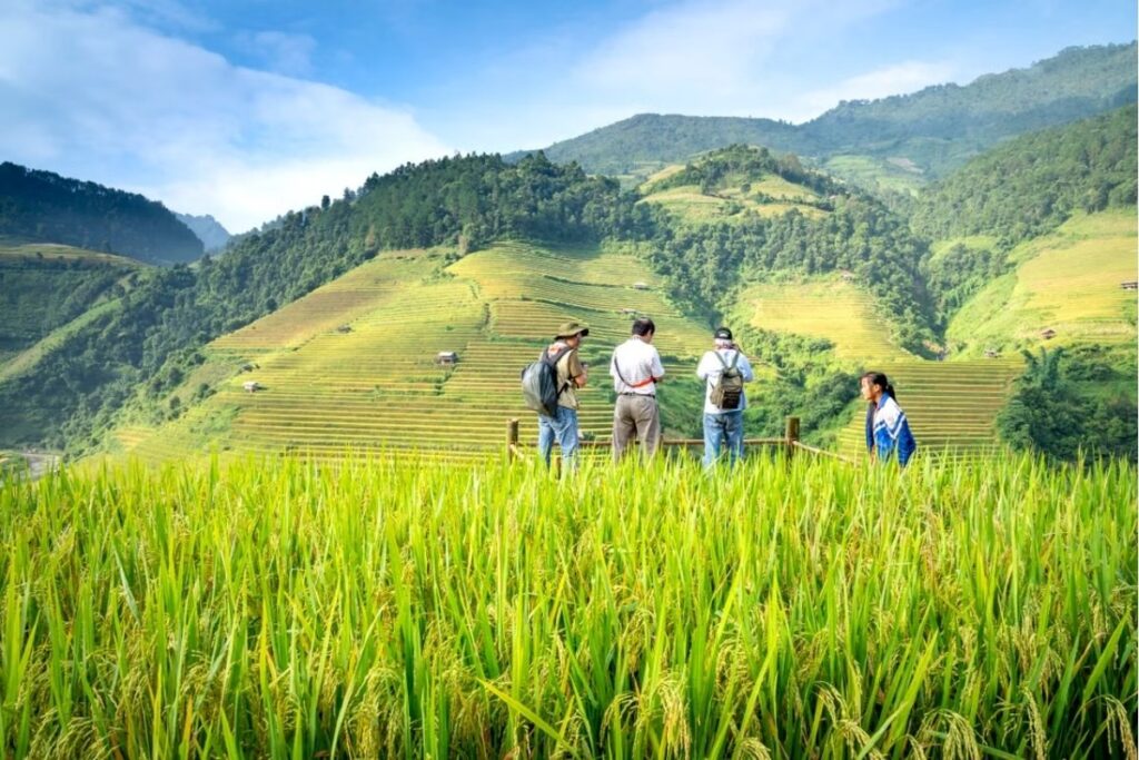 Trekking trail between Lao Chai and Ta Van in Sapa