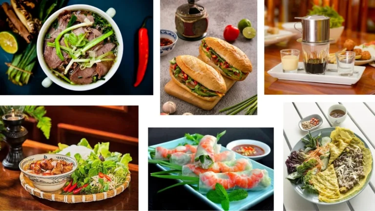 Traditional Vietnamese dishes including pho, banh mi, bun cha, fresh spring rolls, and Vietnamese coffee