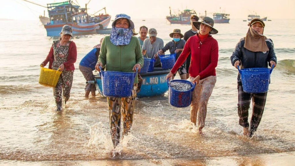 Seafood in Vietnam: 18 Must-Try Dishes & Where to Eat Them (2026 Traveler's Guide) 2 Fresh seafood in Vietnam