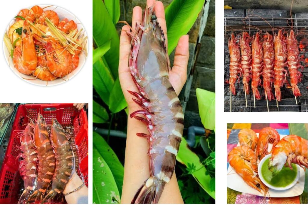 Seafood in Vietnam: 18 Must-Try Dishes & Where to Eat Them (2026 Traveler's Guide) 11 Large tiger prawns are widely farmed and harvested throughout Vietnam's coastal provinces.