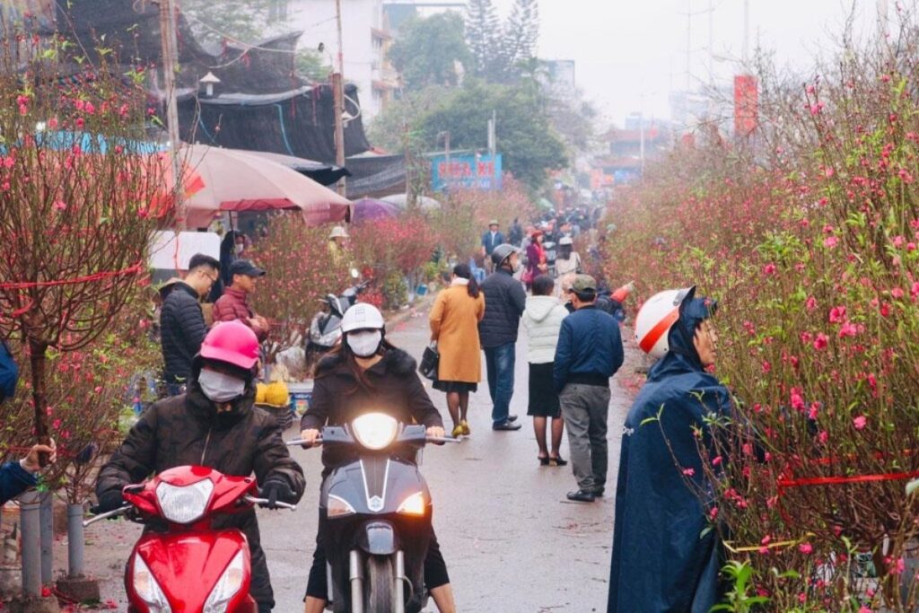Tet Holiday in Vietnam: Traditions, Food, Customs, and How Vietnamese Celebrate Lunar New Year 2 People shopping for peach blossoms at Quang Ba Flower Market in Hanoi before Tet