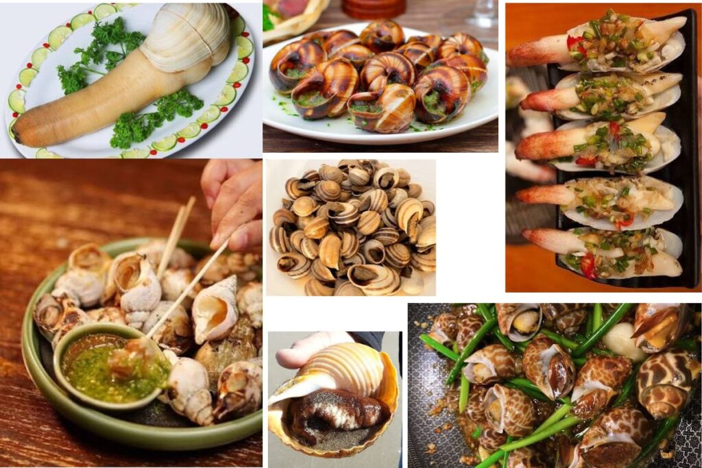 Seafood in Vietnam: 18 Must-Try Dishes & Where to Eat Them (2026 Traveler's Guide) 13 Some snails are steamed with lemongrass, while others are stir-fried with garlic butter, roasted with salt and chili, or cooked in fragrant coconut milk.