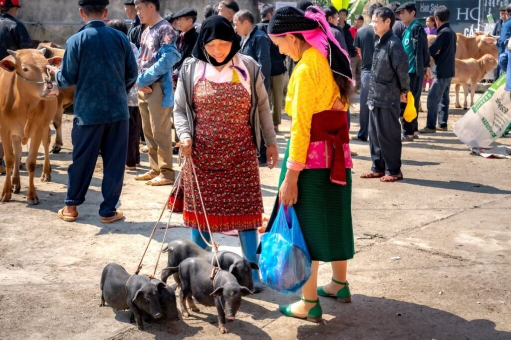 Ethnic minority traders at Bac Ha Sunday Market in Lao Cai Vietnam