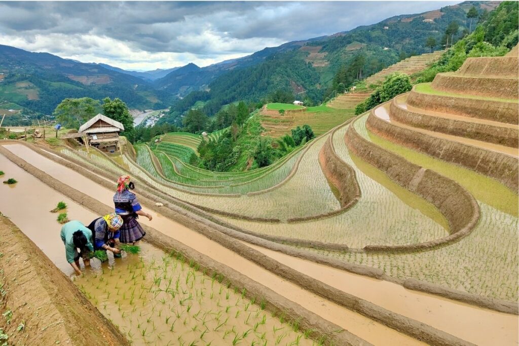 Hmong women wearing traditional clothing in the mountains of Sapa