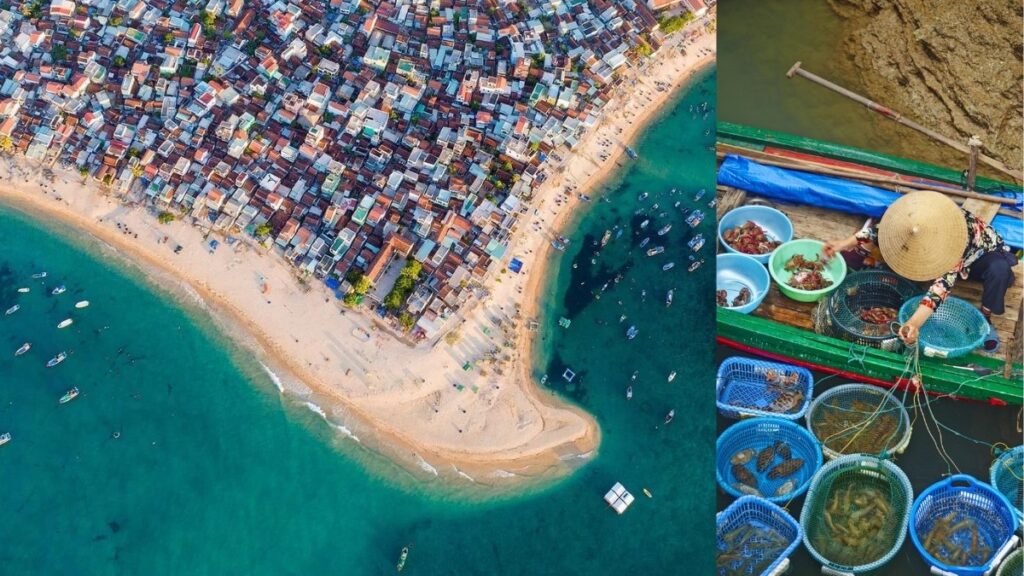 Seafood in Vietnam: 18 Must-Try Dishes & Where to Eat Them (2026 Traveler's Guide) 3 Live seafood tanks at a Vietnamese seafood restaurant