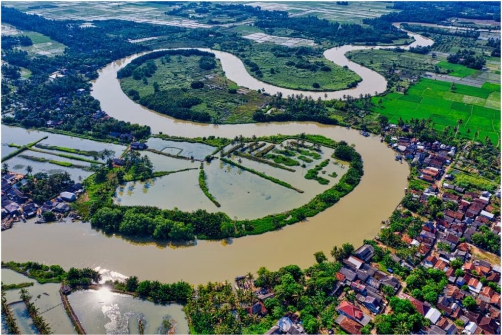 Rice fields in Vietnam's Red River Delta where early Vietnamese civilization developed