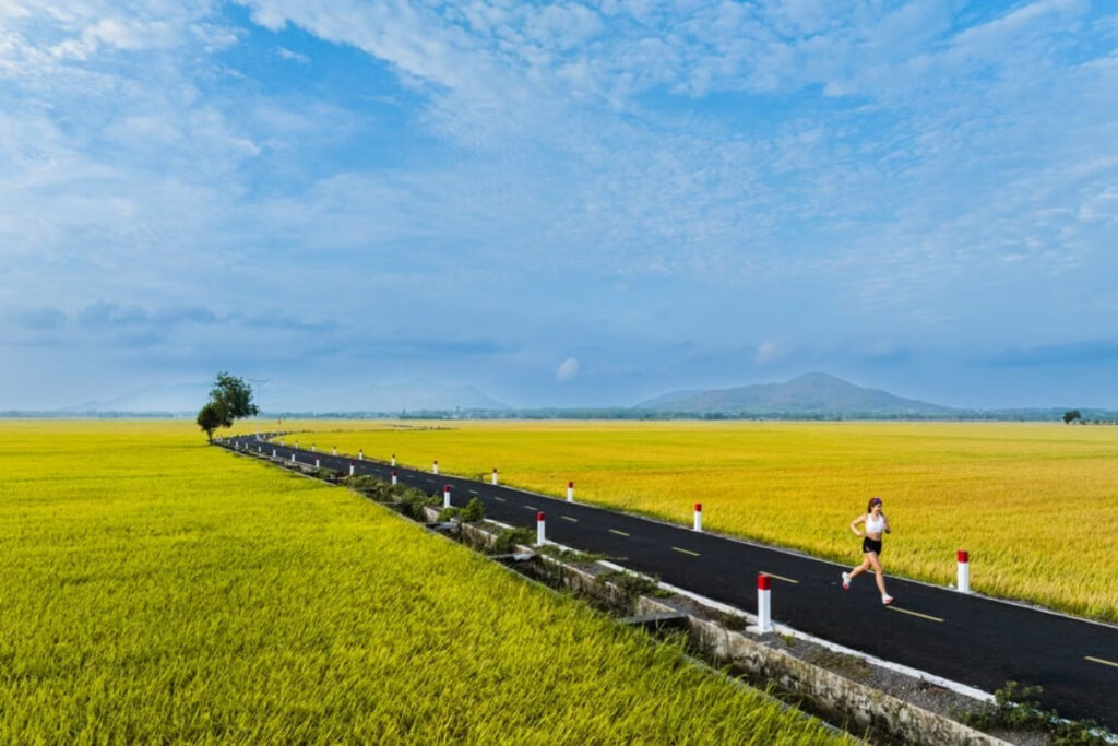 Runner on a rural road through rice fields in Vietnam early morning