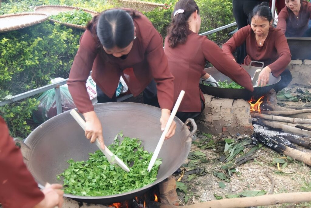 Vietnamese Tea Culture: I Thought Vietnam Was the Land of Coffee—Until an Old Man Handed Me a Tiny Cup of Tea 6 How Thai Nguyen Green Tea Is Processed