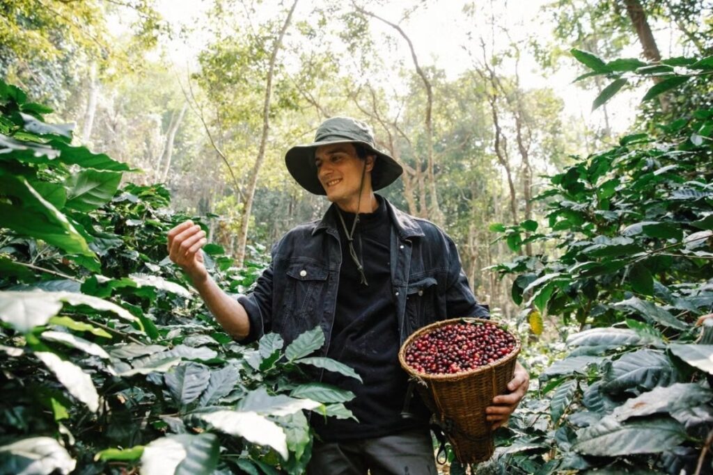 Coffee plantation near Buon Ma Thuot in Vietnam's Central Highlands